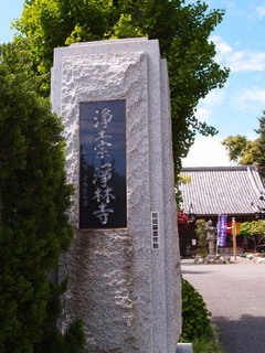 P5049245.jpg