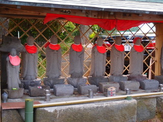 P5049251.jpg