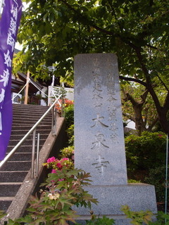 P5049254.jpg