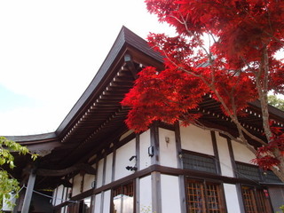 P5049257.jpg