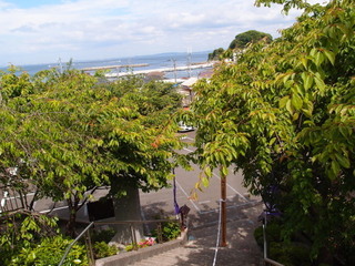 P5049259.jpg