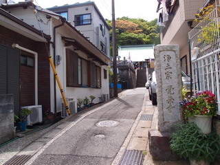 P5049261.jpg