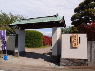 P5049269.jpg