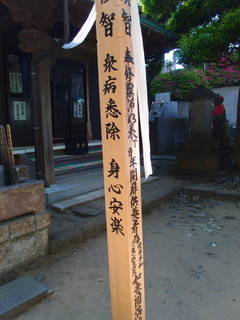 P5049273.jpg