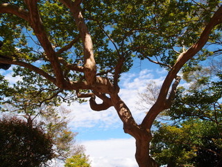 P5049287.jpg