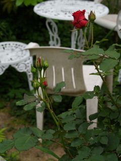P5098453.jpg