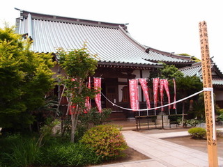 P5169411.jpg