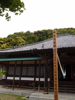 P5169455.jpg