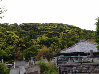 P5169466.jpg