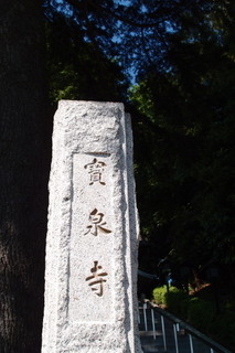 P5185453.jpg