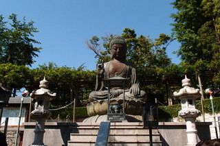 P5185464.jpg