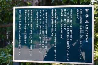 P5185489.jpg