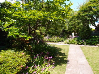 P5189500.jpg