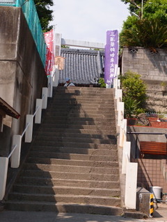P5189521.jpg