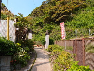P5189532.jpg