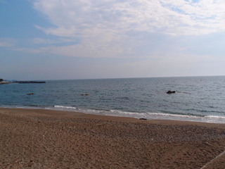 P5189554.jpg