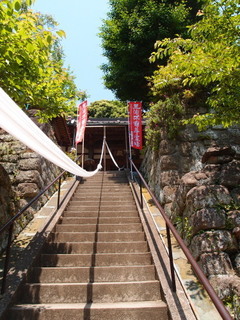 P5219578.jpg