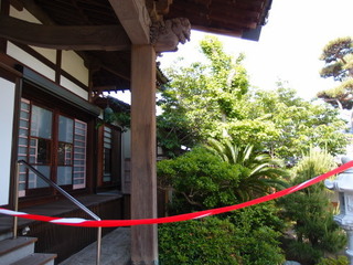 P5219593.jpg