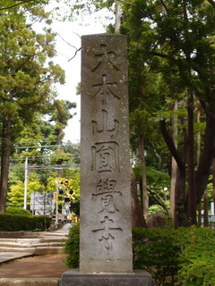 P5261043.jpg