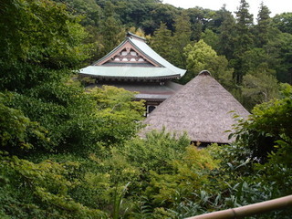 P5261091.jpg