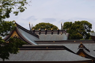P5315539.jpg