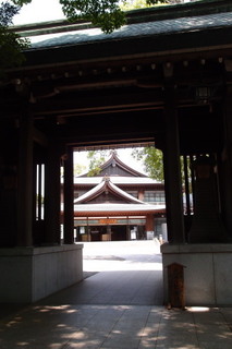 P5315545.jpg