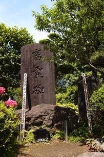 P5315549.jpg