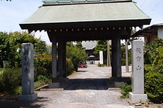 P5315557.jpg