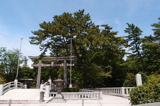 P5315559.jpg