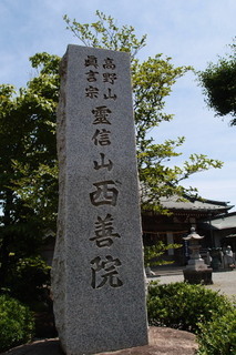 P5315560.jpg