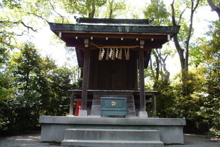 P5315575.jpg