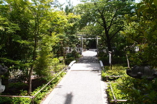 P5315576.jpg