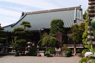 P5315585.jpg