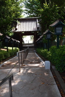P5315588.jpg