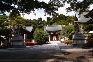 P5315598.jpg