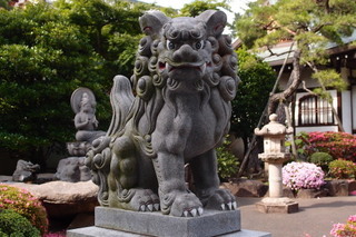 P5315600.jpg