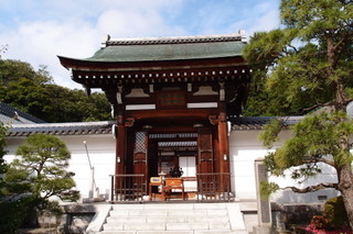 P5315603.jpg