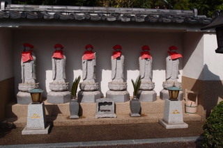 P5315612.jpg