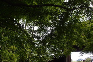 P5315629.jpg