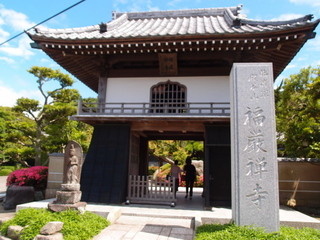 P6019746.jpg