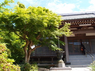 P6019751.jpg