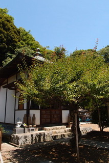 P6025706.jpg