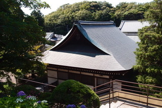 P6035733.jpg