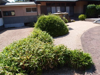 P6049786.jpg