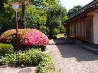 P6049787.jpg