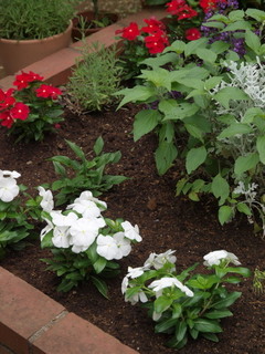 P6058250.jpg