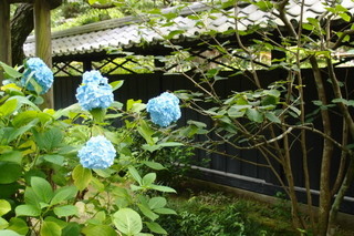 P6075743.jpg