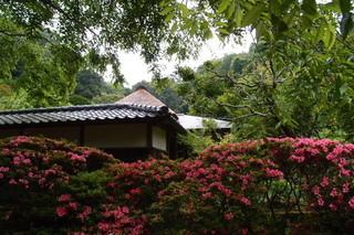 P6075833.jpg