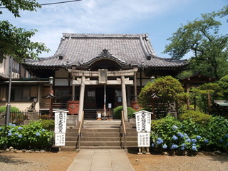P6098821.jpg
