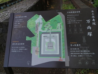 P6098838.jpg